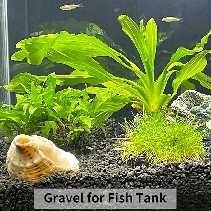 10LB Black Pea Gravel for Landscaping, 3/8 Inch Black Pebbles for Plants Cactus Succulent Fish Tank and Garden Black Stones