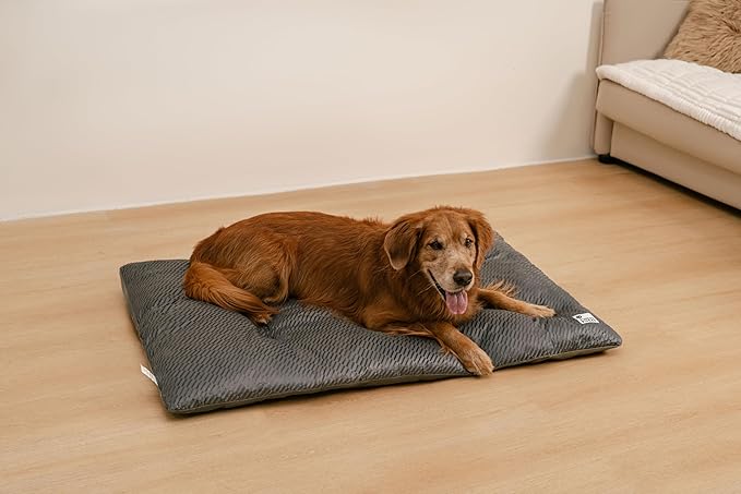 FUNNY FUZZY Washable Dog Bed,Reversible Plush Dog Crate Mat, Soft Fluffy Kennel Pad,Pet Sleeping Mattress for Jumbo,X-Large Sized Dogs Breeds,2XL,48"× 31",Grey