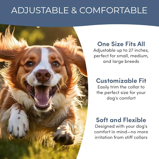 Flea and Tick Collar for Dogs, Cats – Natural Essential Oils – Long-Lasting 8 Month Protection – Waterproof, Adjustable – Safe for Puppies, Kittens, Sensitive Skin