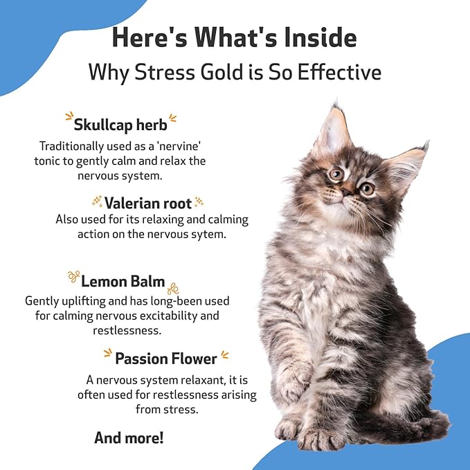 Pet Wellbeing Stress Gold for Cats - Occasional High Stress and Restlessness, Supports Relaxation, Travel, Vet Trips, Skullcap, Valerian - Veterinarian-Formulated Herbal Supplement 2 oz (59 ml)