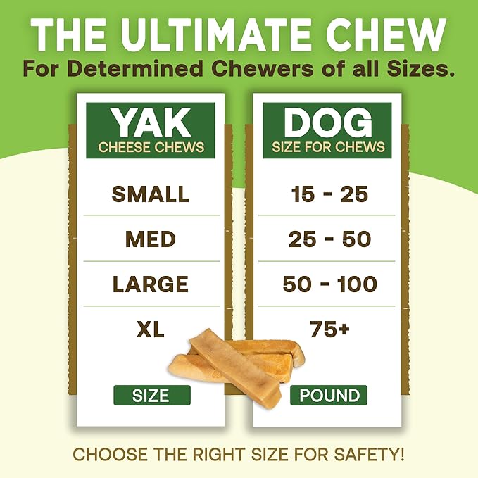 EcoKind Himalayan Gold Yak Cheese Dog Chew for Small Dogs, Healthy Dog Treats, Odorless, Long Lasting Dog Bones for Dogs, Rawhide Free, Made in The Himalayans, Small (Pack of 8)