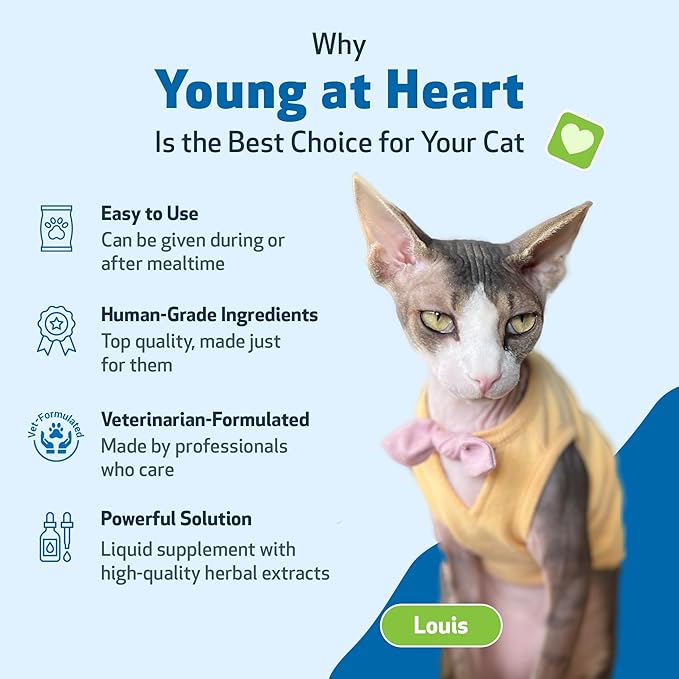 Pet Wellbeing Young at Heart for Cats - Heart Health, Circulatory & Cardiovascular System, Hawthorn, Motherwort, Schisandra - Veterinarian-Formulated Herbal Supplement 2 fl oz (59 ml)
