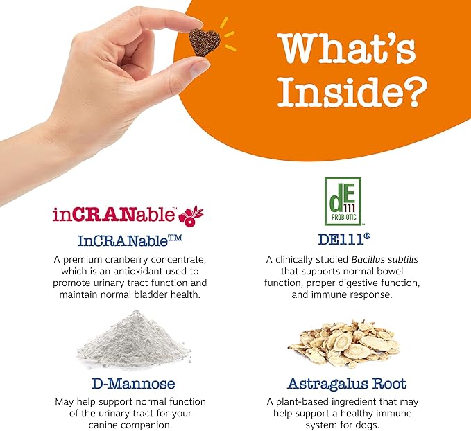 Zesty Paws Senior Cranberry Supplement for Dogs - Bladder Control for Senior Dogs - Urinary Tract Support - Cranberry Chews - Immune & Gut Support - Chicken - 90 Count