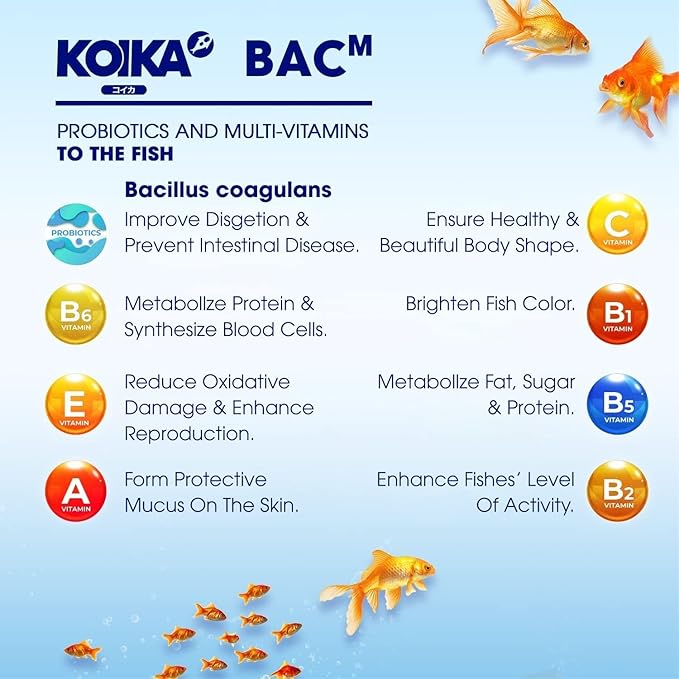 KOIKA BACM Natural Color Enhancement for Fish, Combination of Probiotic & Multi-Vitamins for Aquarium A, B6, B2, Pleasant Smell (BACM (New Formula), 30ml)