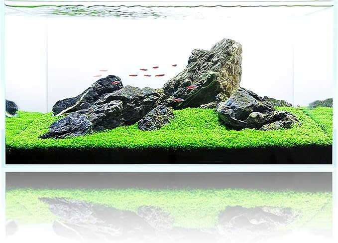 Fzone 48 Gal Rimless Low Iron Fish Tank Nova Clear Ultra-White 45° Mitered Edges Translucent Glass Anata Series Aquarium w/Black Foam Leveling Mat(S90-W45)