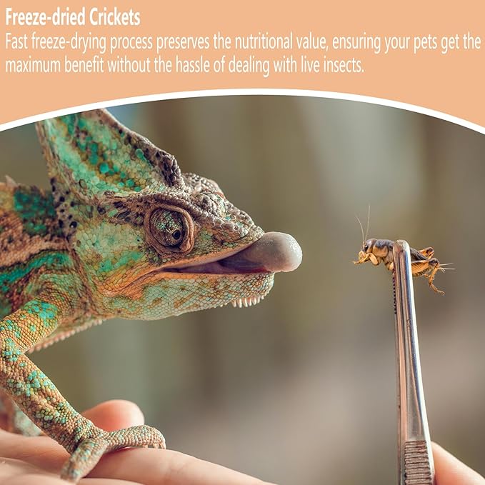 Freeze Dried Crickets – 2.8 Oz High Protein Freeze Dried Crickets, Food for Reptiles, Bearded Dragons, Lizards, Geckos, Birds, Fish,Hedgehogs, Bearded Dragon Food