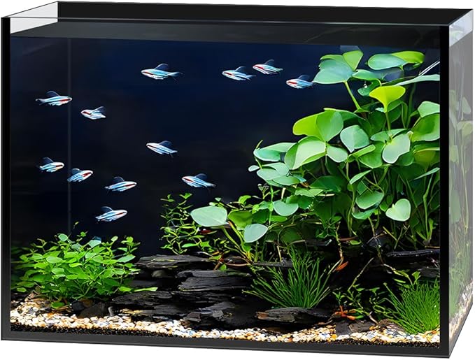 3 Gallon Clear Glass Fish Tank, Small Fish Tank Aquarium for Betta, Goldfish, Snail,Shrimp and Aquatic Planting
