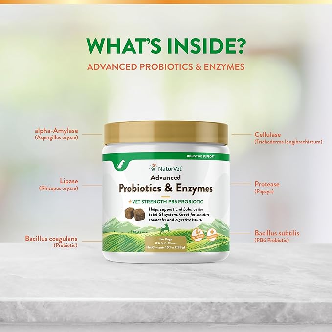 NaturVet Advanced Probiotics & Enzymes, PB6 Dog Soft Chews to Help Sensitive Stomachs and Digestive Issues, Hickory Smoked Bacon Flavored Pet Supplement for Dogs Over 6 Weeks, 120 Count Jar
