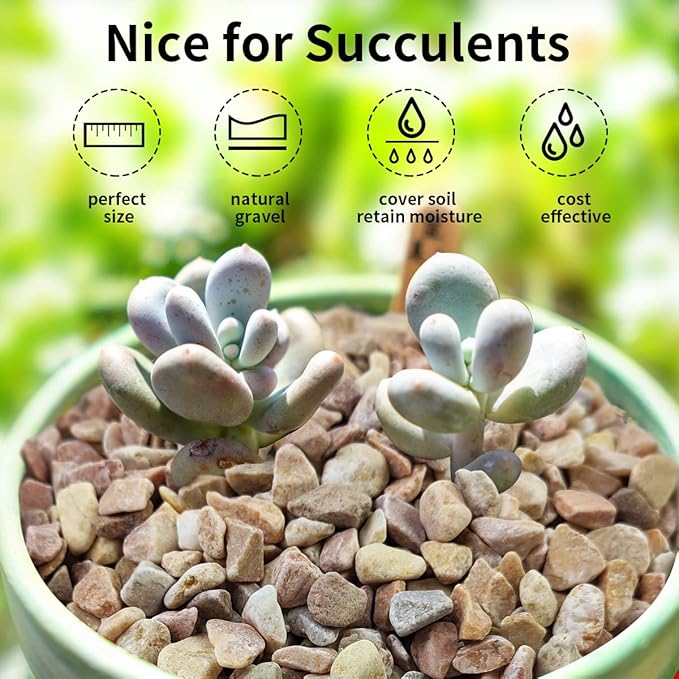 2 lb Natural Pea Gravel Small Pebbles - 3/8 Inch Pebbles for Indoor Plants, Succulents Rocks, Fish Tank Gravel, Terrarium Rocks and Patio Paver Decorative Stones