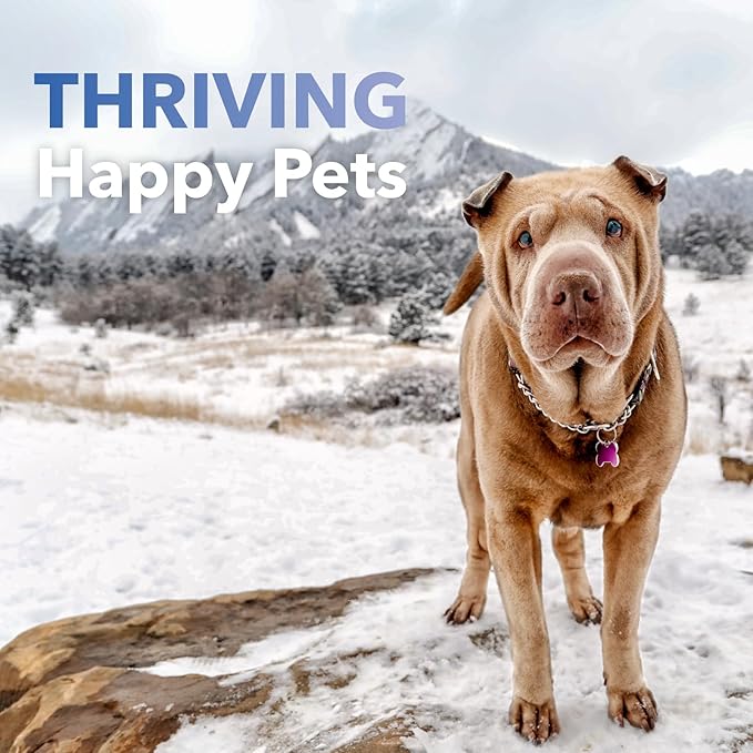 InClover Kidney – Bladder and Urinary Health Supplement for Dogs & Cats - with Resveratrol (Found in Cranberries), L-Carnitine & D-Mannose – Supports a Healthy Urinary Tract and Optimal Renal Function