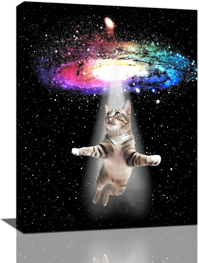 Funny Cat Wall Art Canvas Galaxy Wall Decor Prints Framed Painting Animal Pictures Gifts Artwork for Bathroom Living Dining Kitchen 16"x20"