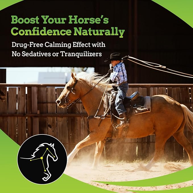 SynChill AF Calming Gel for Nervous Horses - Single Serving - Advanced Formula with L-Theanine, Increased Potency, 100% Natural Supplement, Disposition & Confidence Support for Horses