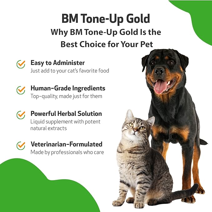 Pet Wellbeing BM Tone-Up Gold for Dogs & Cats - Supports Healthy Digestive Function, Solid Stools, Normal Bowel Movements, Bayberry - Veterinarian-Formulated Herbal Supplement 4 oz (118 ml)