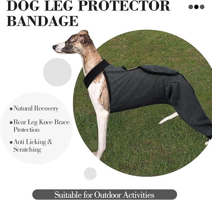 ROZKITCH Dog Surgery Leg Sleeve Rear Legs, Male Female Pet Prevent Licking Wound Elbow Knee Protector, Dog Recovery Suit Cone Collar Alternative Pants Shirt for Wound Heal Wrap Grey XL