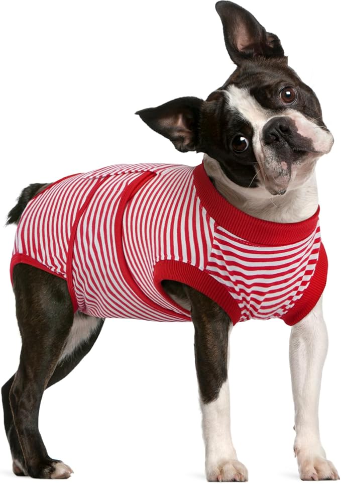 FUAMEY Dog Recovery Suit Male,Dogs Surgery Neuter Suits Puppy Spay Shirts for Female Protect Dog's Skin Anti Licking Abdominal Wounds Doggie Onesie Pet Bodysuit Alternative to Cone Red Stripes M