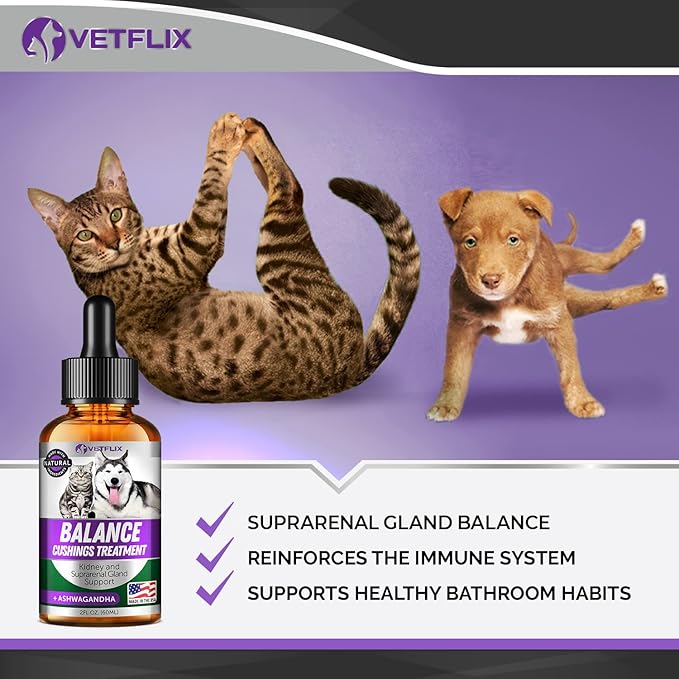 Pet Adrenal Support for Dogs & Cats - Made in USA - Cushings Treatment for Dogs - Cat & Dog Supplement for Kidney Support - 2 Fl Oz