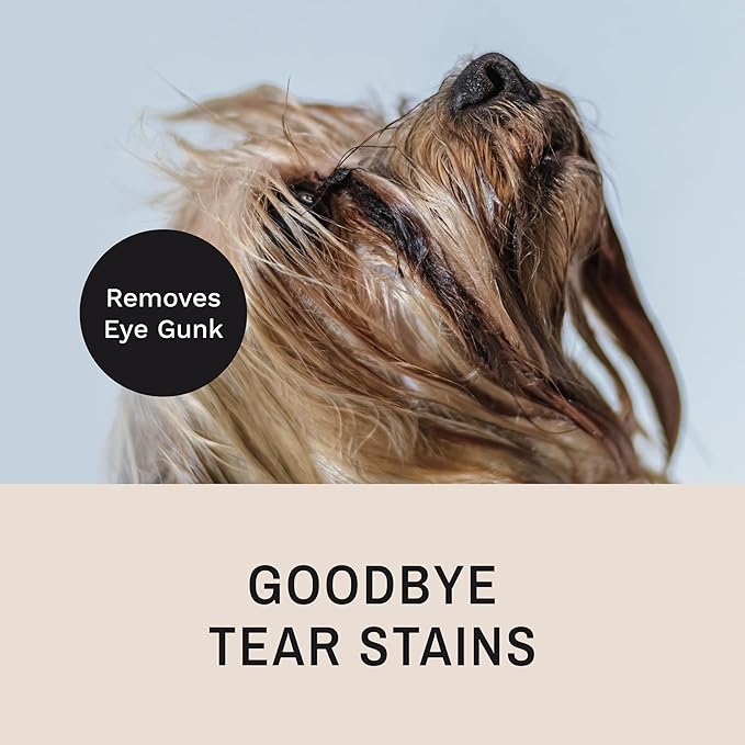 Eye Envy Tear Stain Remover Comb for Dogs and Cats. Fine/Coarse with 80 Rounded Pins. Gently Remove Crusty Eye Debris, Gunk and Boogers. Face and Feet Comb. Remove Tangles