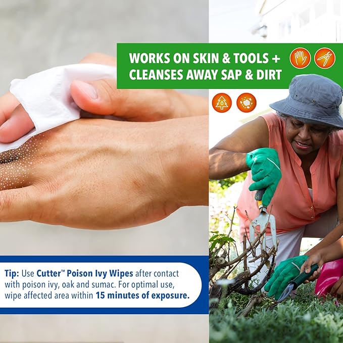 Poison Ivy Wipes, On-the-Go Cleansing for Poison Ivy, Oak & Sumac, 12 Wipes