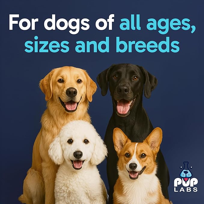 Tummy Essentials Probiotic Chews for Dogs, Supports Gut Health for Dogs and Firm Stools, Helps Eliminate Digestive Dysfunction, Dog Probiotics Made in The USA, 30 Chews