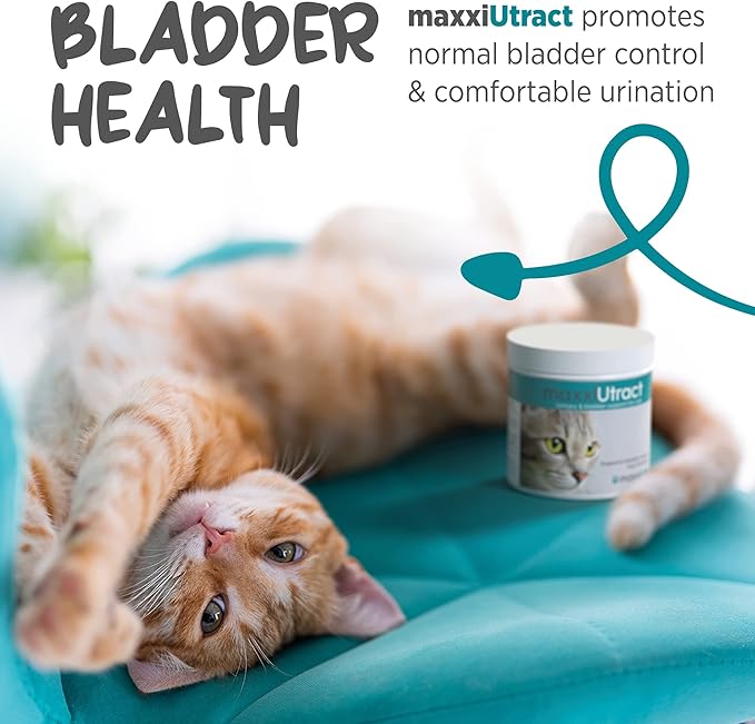 maxxipaws maxxiUtract Urinary & Bladder Support - Powder Supplement for Cats, 3.2oz