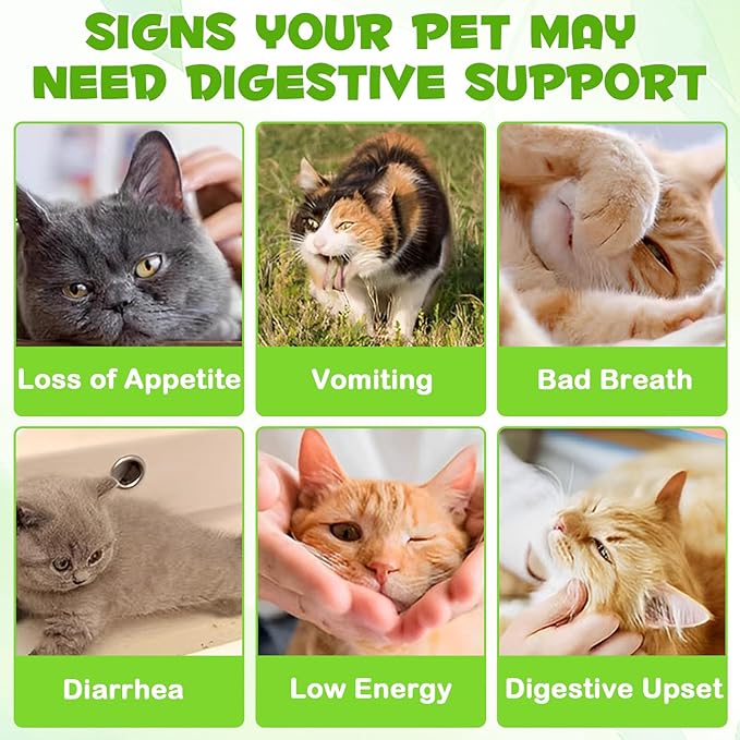 3 in 1 Probiotics for Cats, Cat Digestive Support,Daily Digestive Health Supplement with Multiple Strains of Bacteria Help with Diarrhea,Gas and Bloating, Cat Herbal Supplements- 60ml