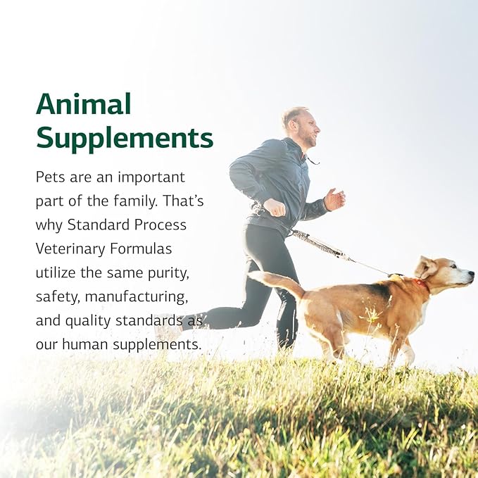 Standard Process Inc. Canine Cardiac Support - Dog Heart Health Supplement - Nutritional Formula to Support Cardiac Function - Pet Health Supplement with Selenium - 25 g