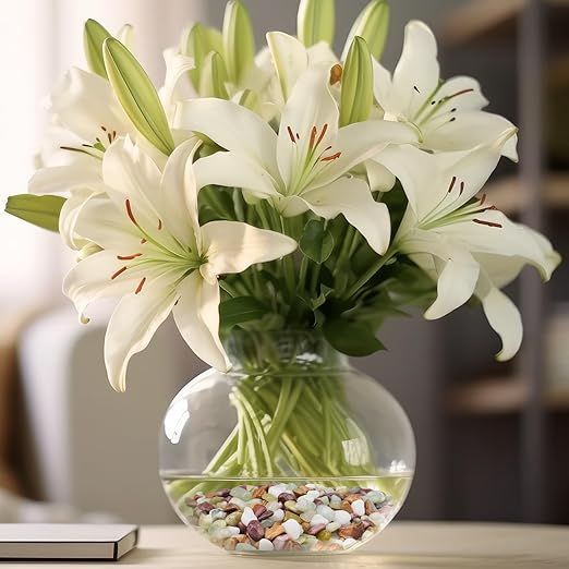 2.5lbs Pebbles for Indoor Plants, 3/8 Inch Small Rocks for Potted Plants, Succulents, Vase Fillers, Cactus Planters, Bird Bath, Fountain, Outdoor Garden Landscaping