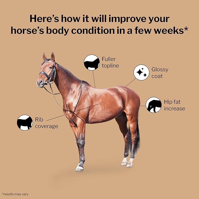 Formula 707 Weight Gain Crumble Equine Supplement, 7 lb Bag – Palatable, Calorie-Rich Nutritional Support for Hard-to-Keep and Senior Horses