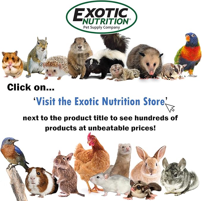 Exotic Nutrition Sugar Glider Vitamin Combo Pack - Powder Multivitamin & Powder Calcium Supplement for Pet Sugar Gliders