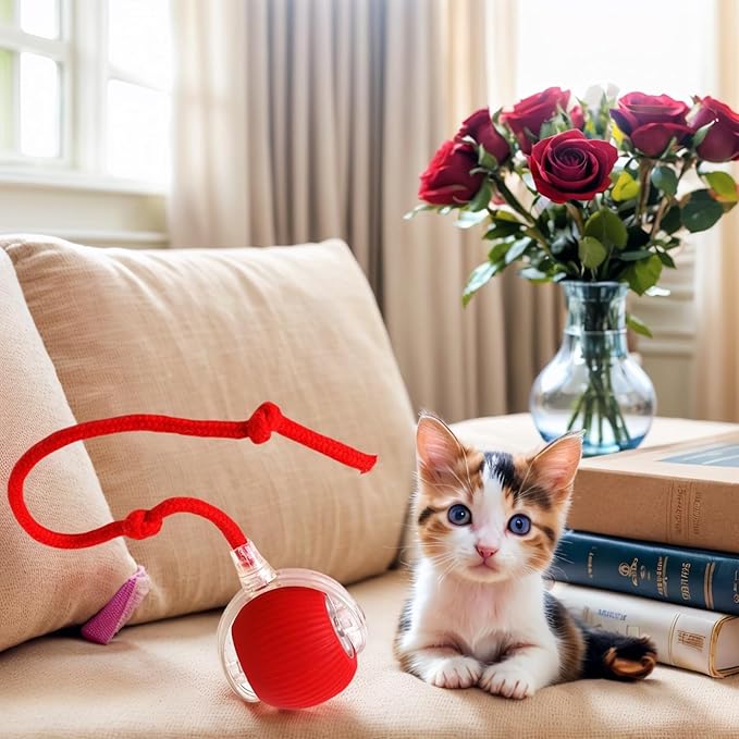 Electric Cat Toy - Automatic Rolling cat Toy with Motion sensors, Designed for Indoor Cats, Suitable for Solo Play (USB Rechargeable) (Red)