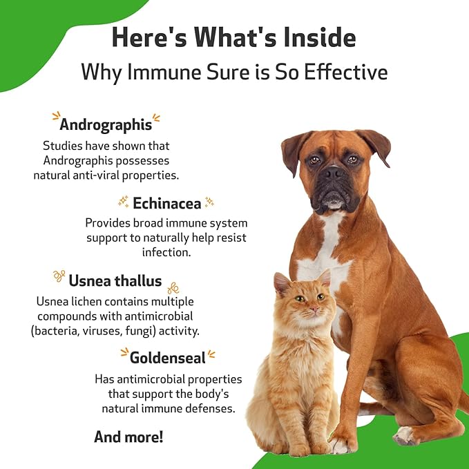 Pet Wellbeing Immune Sure for Dogs - Supports Normal Immune Defenses, Gut Flora Balance, Andrographis, Echinacea, Vitamin C, Zinc - Veterinarian-Formulated Herbal Supplement 4 oz (118 ml)