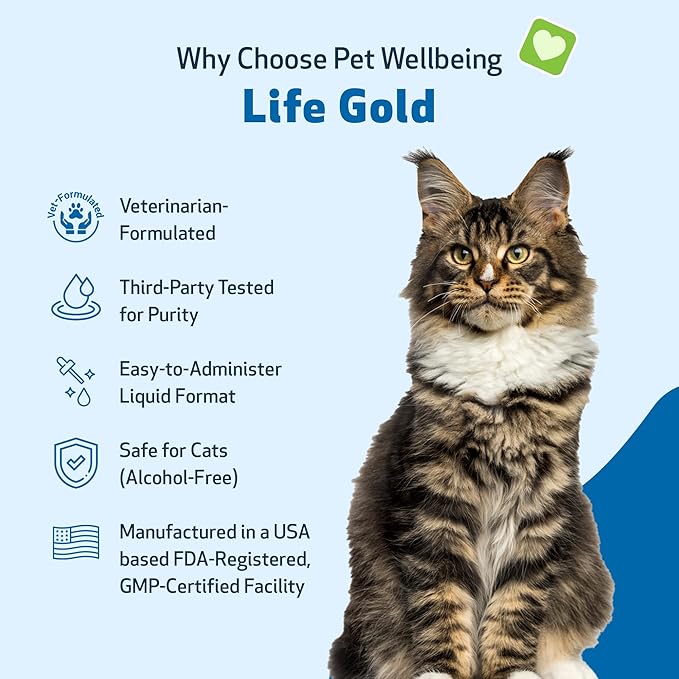 Life Gold for Cats - Supports Detoxification & Healthy Immune Defenses, Astragalus, Burdock, Sheep Sorrel - Pet Wellbeing Vet-Formulated Holistic Supplement – 2 oz (59 ml)