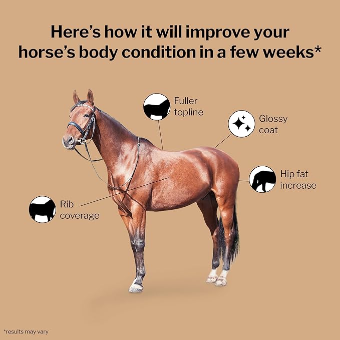 Formula 707 Weight Gain Equine Supplement, Daily Fresh Packs, 28 Day Supply - Palatable, Calorie-Rich Nutritional Support for Hard-to-Keep and Senior Horses