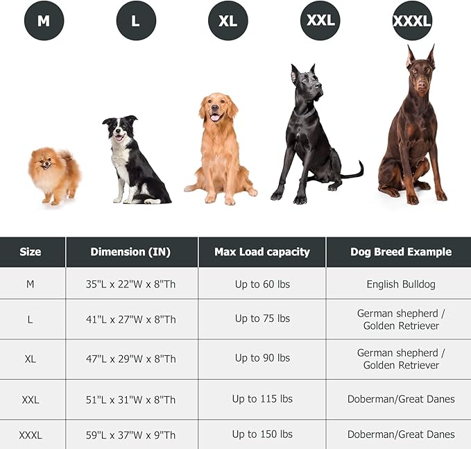 Elevated Dog Bed for Outdoor, Large Raised Dogs Cot for Training, Cooling Pet Beds with Washable Mesh, Indestructible Lifted Platform for Outside Camping, 41 inch Green