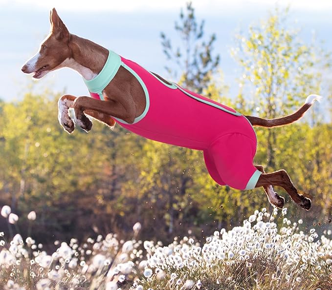 ROZKITCH Dog Surgery Leg Sleeve Rear Legs, Male Female Pet Prevent Licking Wound Elbow Knee Protector, Dog Recovery Suit Cone Collar Alternative Pants Shirt for Wound Heal Wrap Rosered 3XL