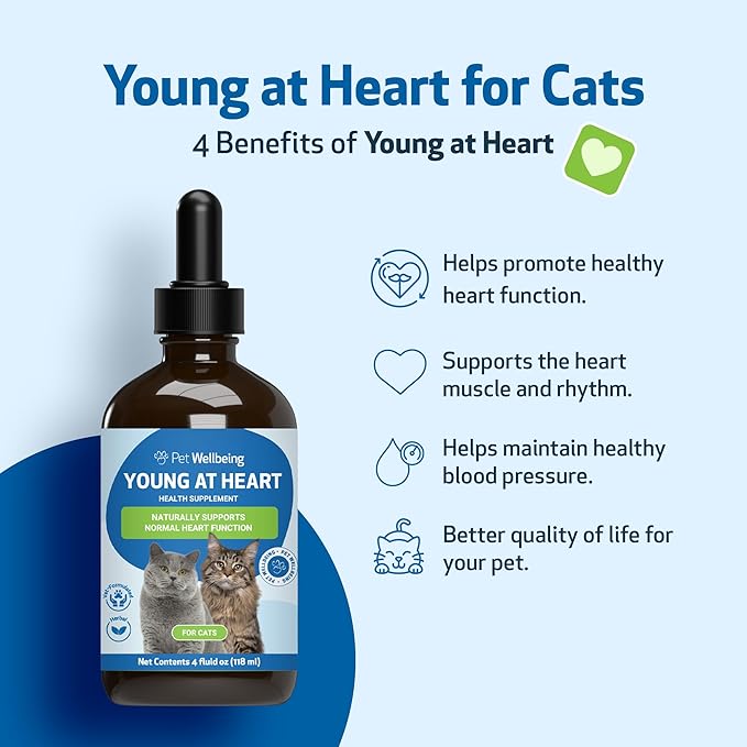 Pet Wellbeing Young at Heart for Cats - Heart Health, Circulatory & Cardiovascular System, Hawthorn, Motherwort, Schisandra - Veterinarian-Formulated Herbal Supplement 4 oz (118 ml)
