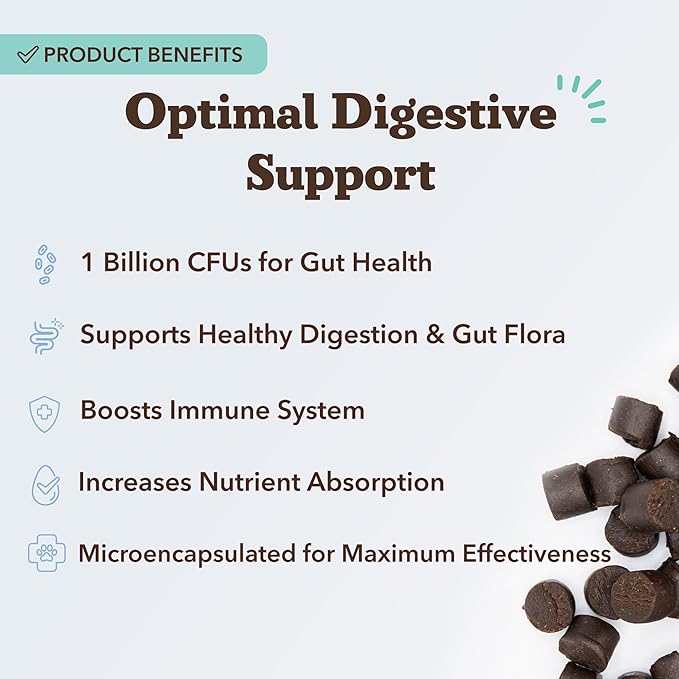 Natural Dog Company Gut Health & Probiotic Chews for Dogs (45 Ct), Prebiotics, Digestive Enzymes & Canine Specific Probiotics for Digestion, Gas, Loose Stool & Immune System Support, 1 Chew Daily