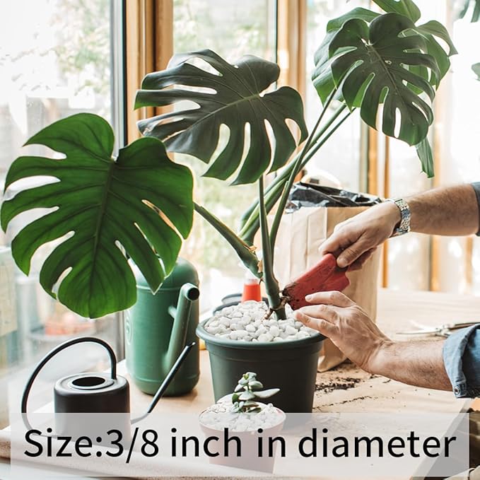 2 lbs White Gravel, 3/8 Inch White Pebbles for Indoor Plants. White Stones for Succulents, Planters, Vase and Outdoor Garden Landscaping