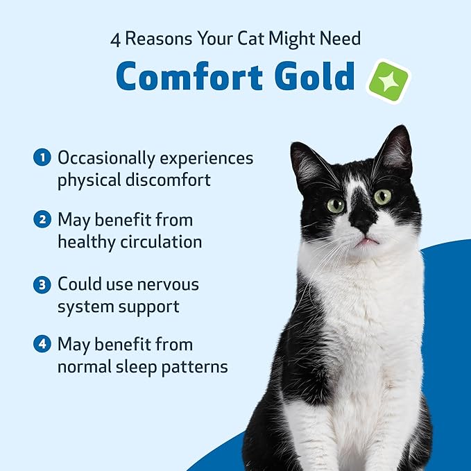 Pet Wellbeing Comfort Gold for Cats - Supports Feline Physical Comfort, Healthy Circulation, Corydalis, Turmeric - Veterinarian-Formulated Herbal Supplement 2 oz (59 ml)