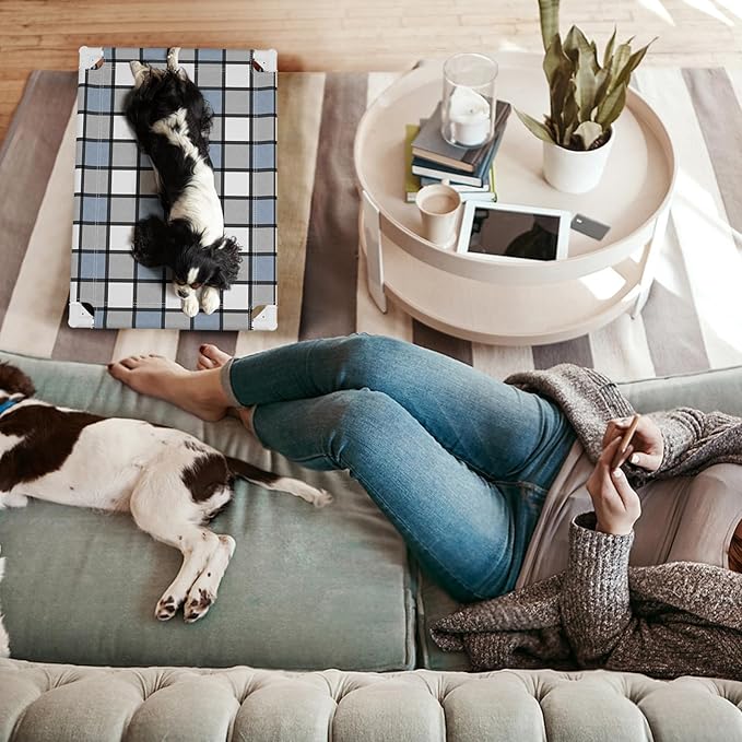 Elevated Outdoor Raised Dog Bed Outdoor Dogs Bed Lifted Pet Bed Dog Cot for Pet Taste Life, Start with A Pet Bed 26'' x 20'' x 6.5''