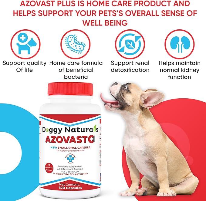Azovast Plus Kidney Health Supplement for Dogs & Cats, 240ct - NO Refrigeration Required - Help Support Kidney Function & Manage Renal Toxins - Renal Care Supplement Capsule(U.S.A) (240 Caps)