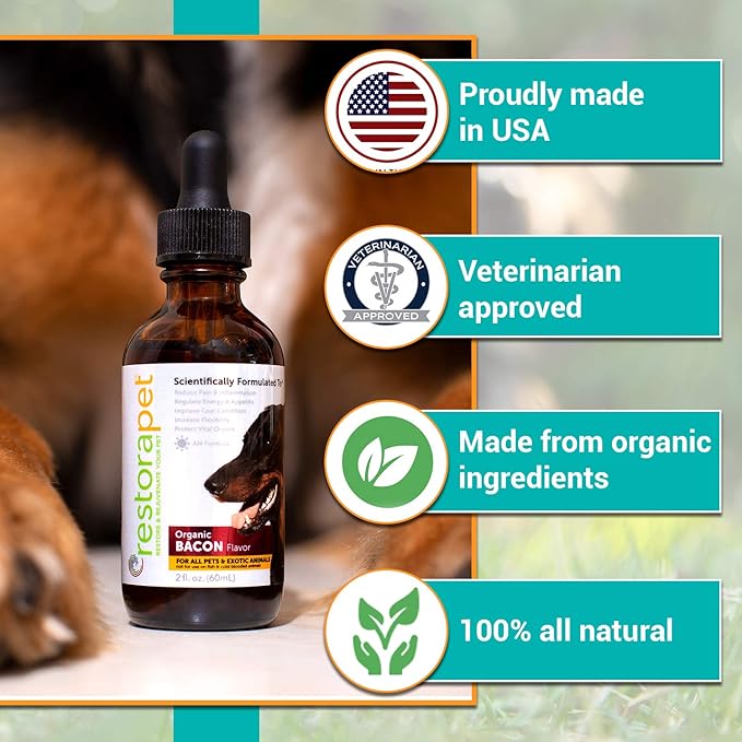 RestoraPet 4-Pack Dog & Cat Bacon Liquid Multivitamin | Dog Arthritis Pain Relief | Hip & Joint Vitamins for Dogs - Anti Inflammatory Supplement for Dogs & Cats | Organic & Non-GMO, Vet Approved