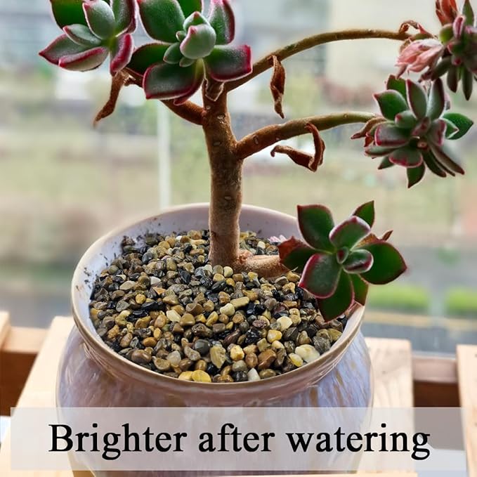 10LB Pea Gravel for Landscaping,1/4 Inch Aquarium Gravel. Decorative River Rocks for Fish Tank Succulent Vase Cactus Bonsai Plant Soil Cover and Outdoor Landscaping Rocks