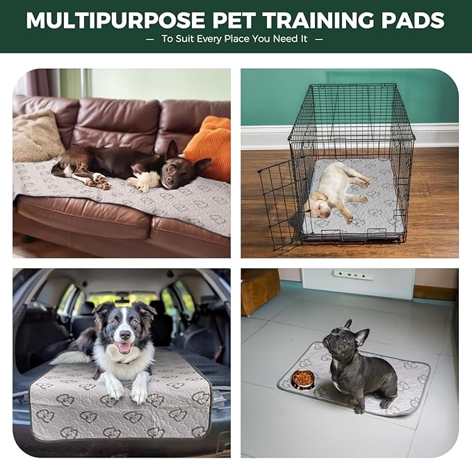 FXW Washable Pee Pads for Dogs, Puppy Pads with Super Absorbent, Specifically Designed for 18inch Cages, 17" × 11" Rectangle, Khaki, 4 Packs