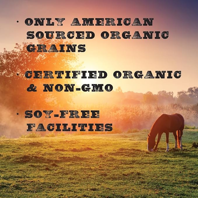 New Country Organics | Low Starch Horse Feed | Horse Food for Horses with Metabolic Disorders or Low Carb Needs | Corn-Free and Soy-Free | 16% Protein | Certified Organic and Non-GMO Feeder | 40 lbs
