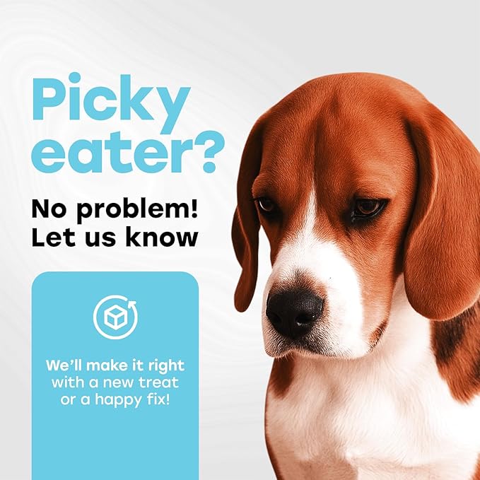 Probiotics for Dogs - PhD Endorsed Digestive Enzymes - Gut Health, Diarrhea & Bowel Support - Dog Treats with Turmeric, Omega-3 & Fiber - Immune Soft 140 Chews - Beef Flavor - Made in USA