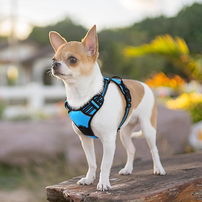 Eagloo Small Dog Harness No Pull, Service Vest with Reflective Strips and Control Handle, Adjustable and Comfortable for Walking, No Choke Pet Harness with 2 Metal Rings, Sky Blue, XS