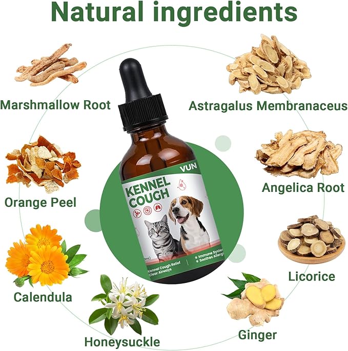Kennel Cough Treatment Drop for Dogs &Cats,Help Wet and Dry Cough Relief,Seasonal Throat Discomfort, Natural Herbal Cough Liquid with Licorice,Ginger for All Breeds & Sizes,2 fl oz Bacon Flavor