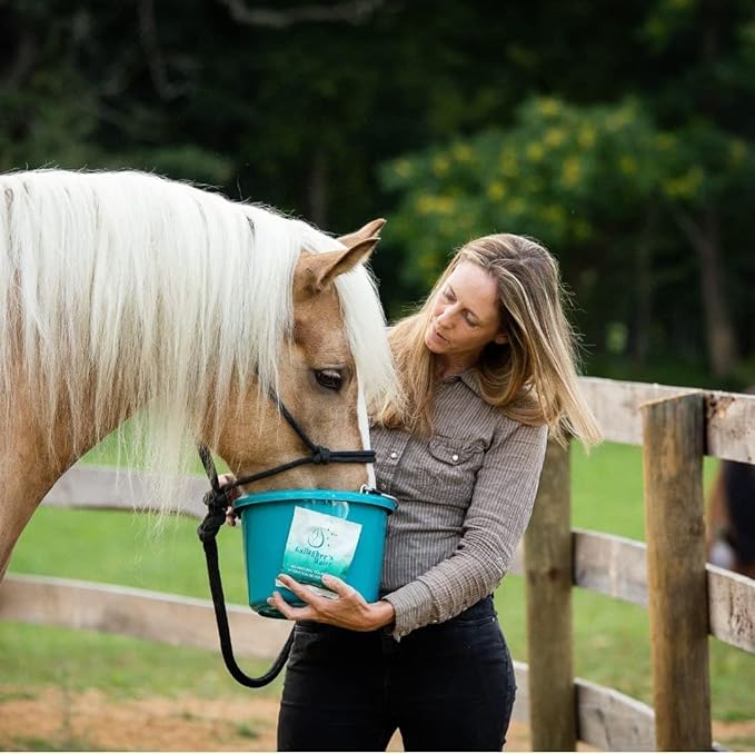 Gallagher's Water 12 Pack All-Natural Equine Hydration Treat - Enhancement Powder Mix Horse Drink Treat to Help Encourage to Drink Water - Made with All Natural Ingredients, FEI Compliant