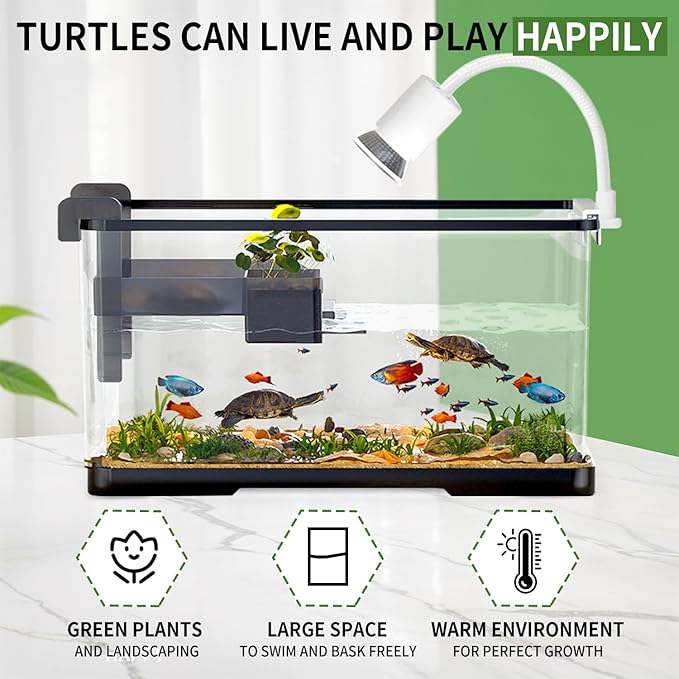 (Tank + Light + Filter + Filter Balls) Turtle Tank Kit, Turtle Tank Starter Kit,Bottom Drainage, Multi-Function Areas for Turtles, Crabs,Fishes, Amphibians,Reptiles. (21.65 × 12.28 × 12.28 Inch)